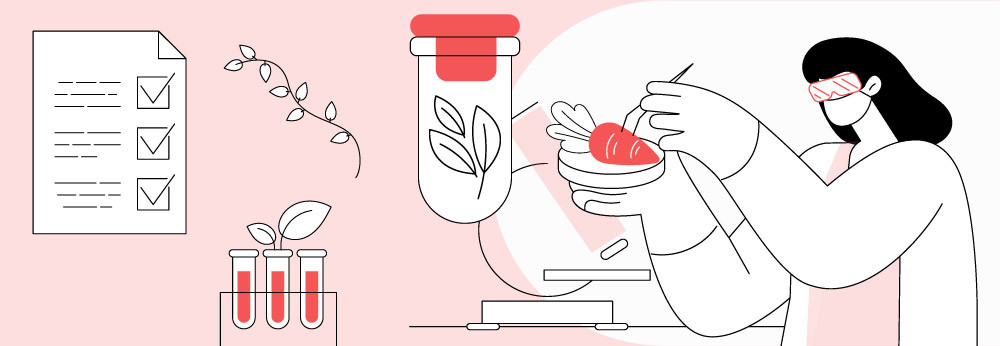 The big bang in the food industry: How modern trends are impacting it now?