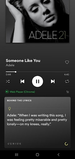 Spotify Behind the lyrics mobile app content